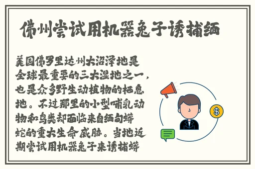 日本国产一卡二卡三新区